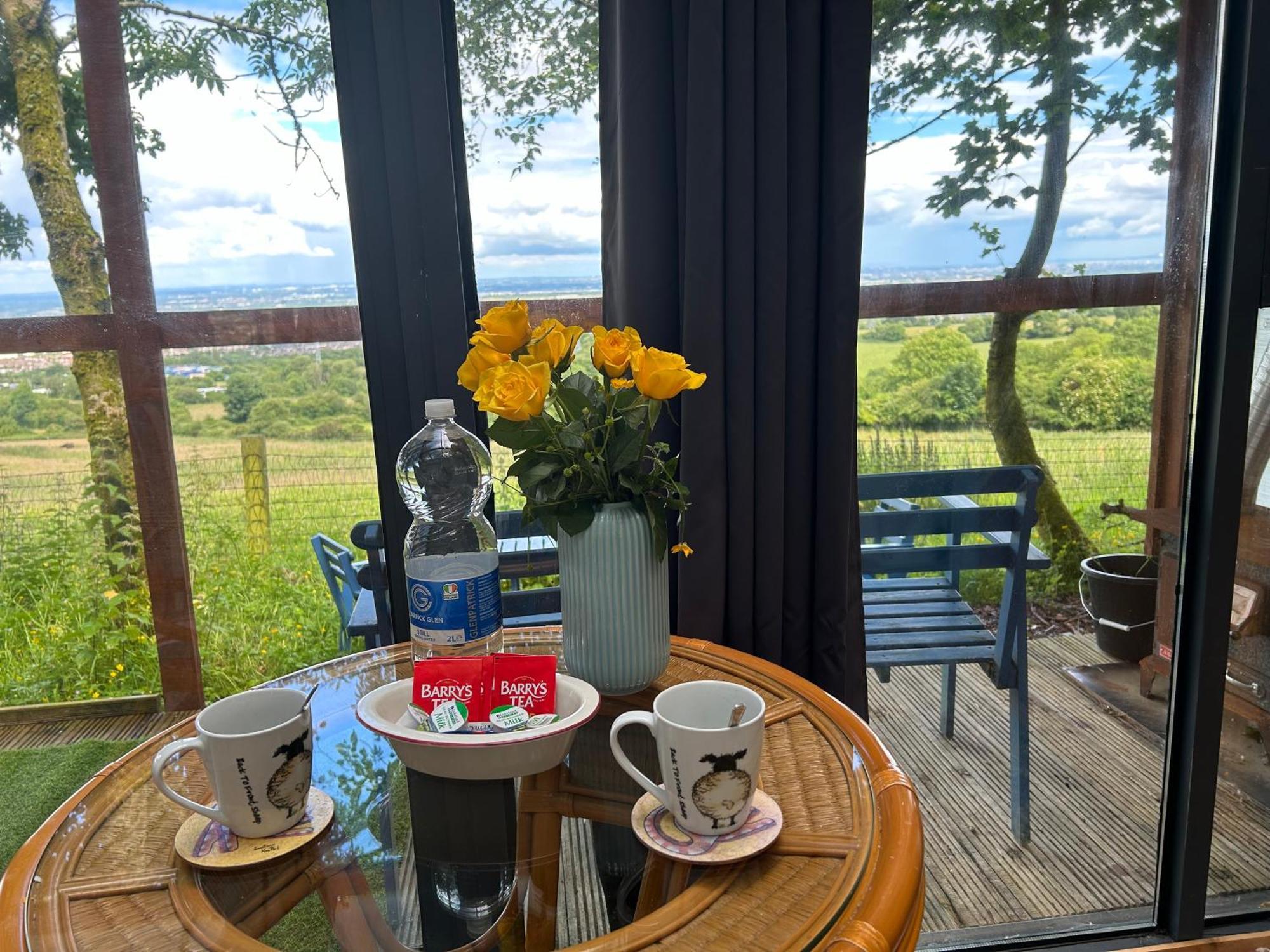 Sky Gazer Cabin In The Woods Dublin Extérieur photo