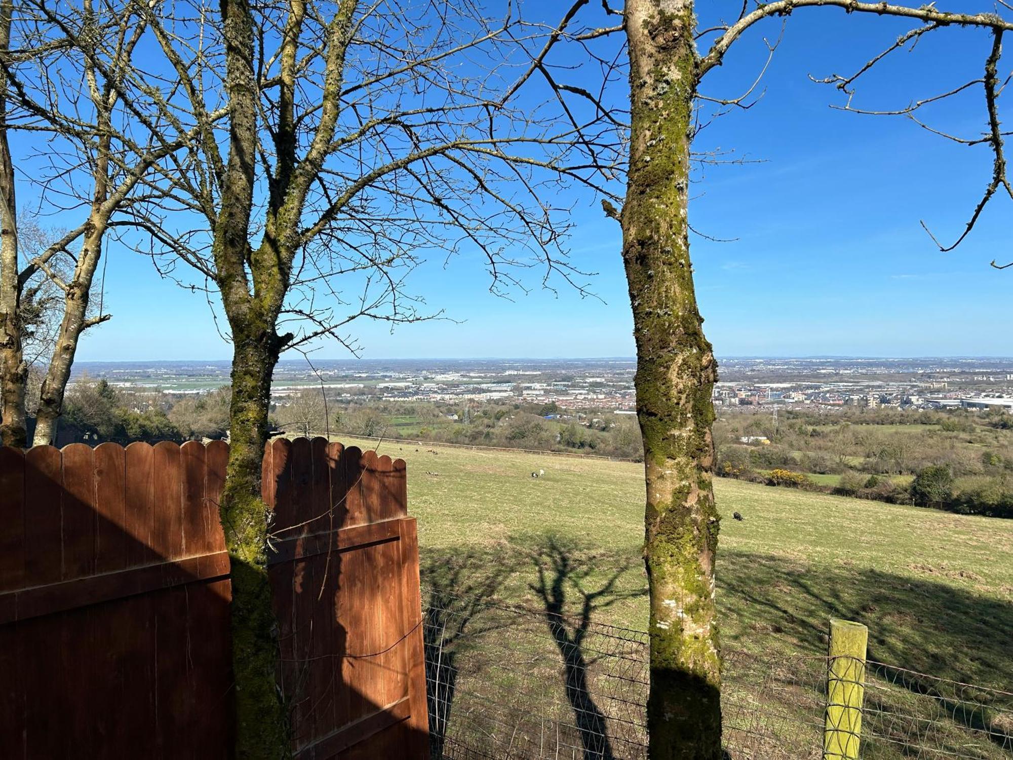 Sky Gazer Cabin In The Woods Dublin Extérieur photo