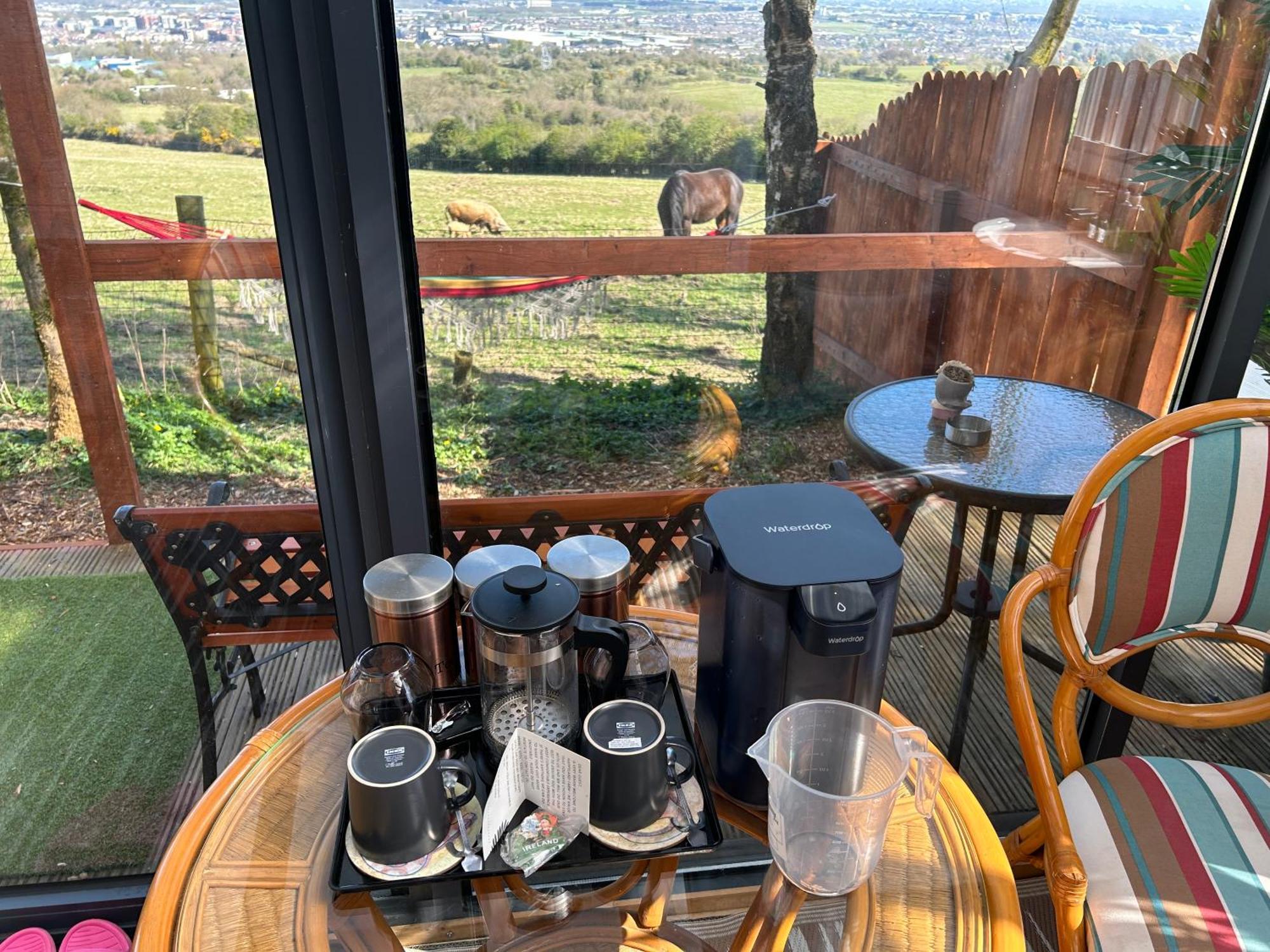 Sky Gazer Cabin In The Woods Dublin Extérieur photo